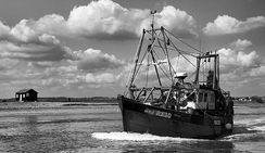 帮企业做决策的在线DDOS攻击平台