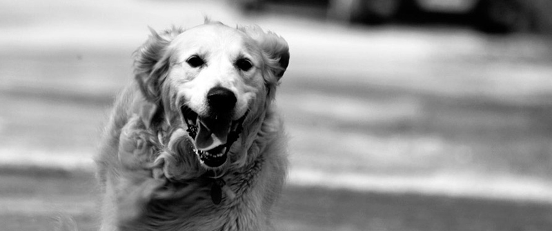 完整版齐全的ddos攻击ip软件下载